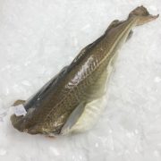 bacalla