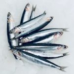 Seito boqueron