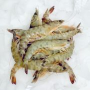 Llagosti langostino