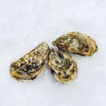 ostro ostron