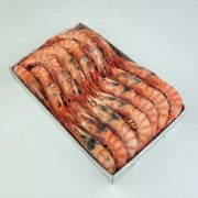 gamba vermella extra
