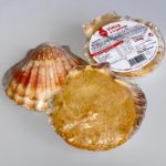 vieira gallega rellena farcida