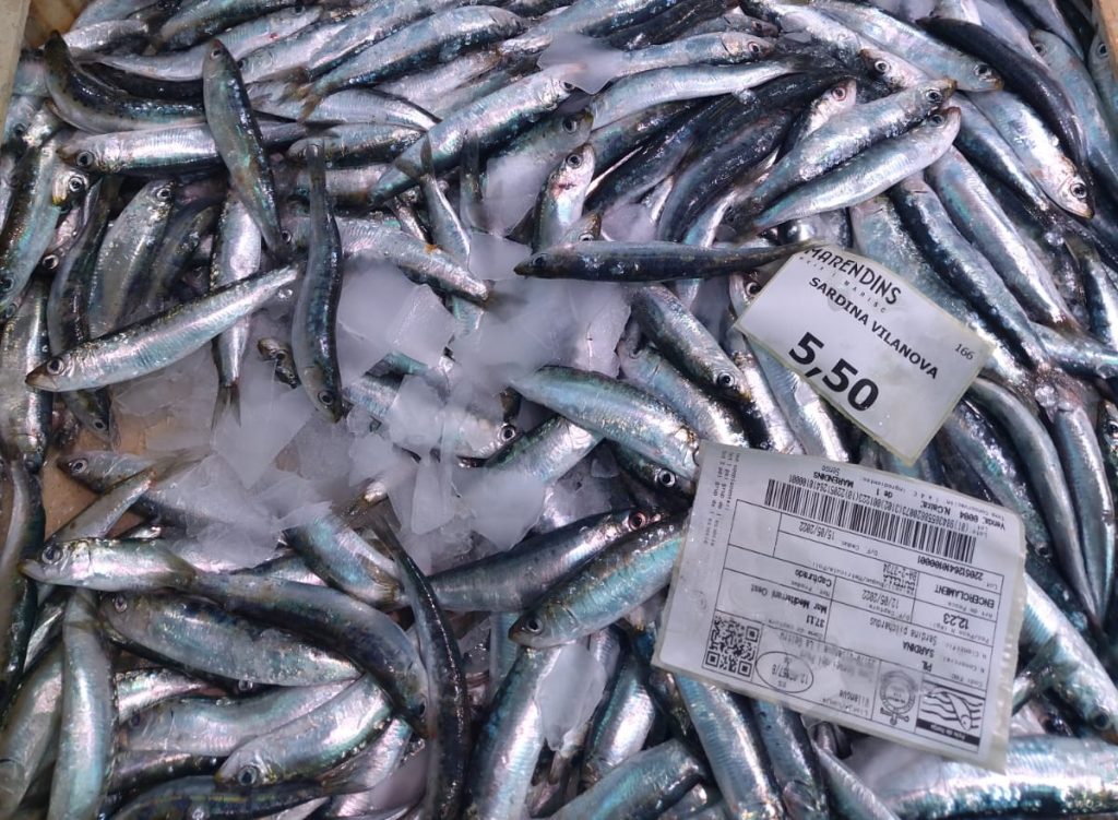 Sardines