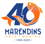 LOGO40éColor